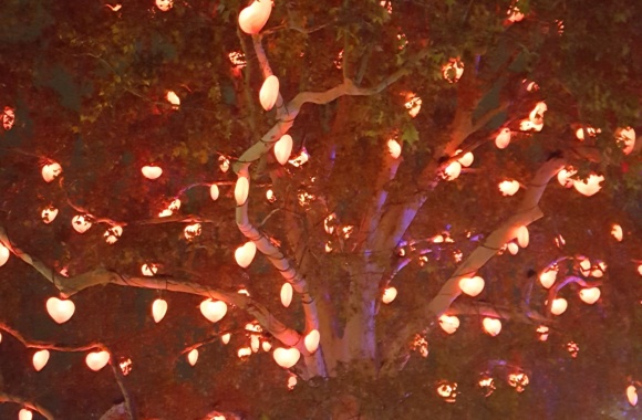 20181124_182827