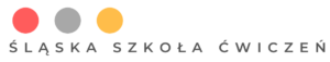Śląska Szkoła Ćwiczeń otwiera się w nowym oknie